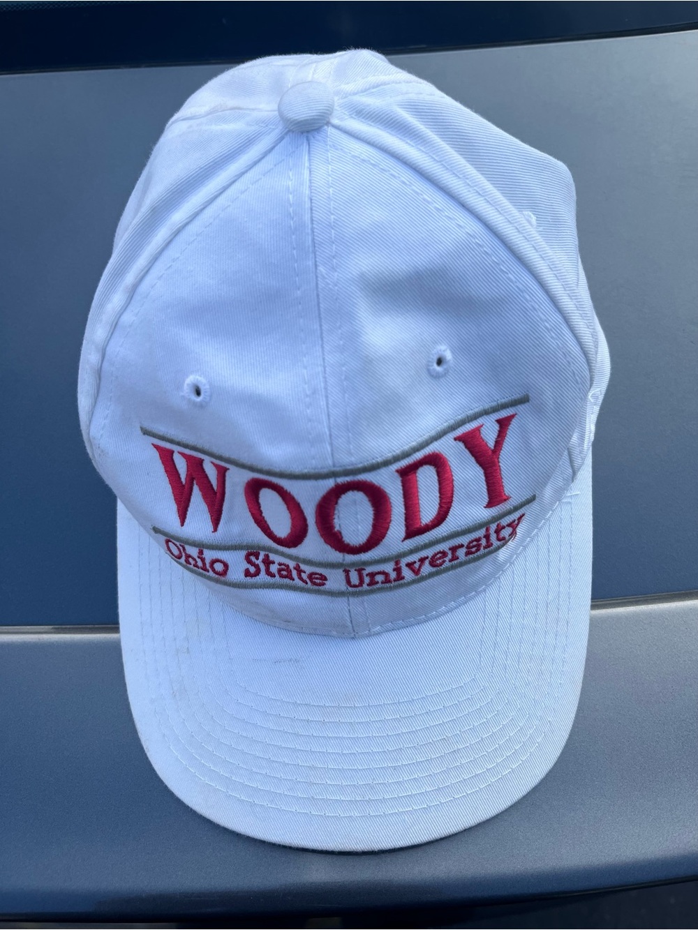 Woody Ohio State university Snapback  Hat The Game
